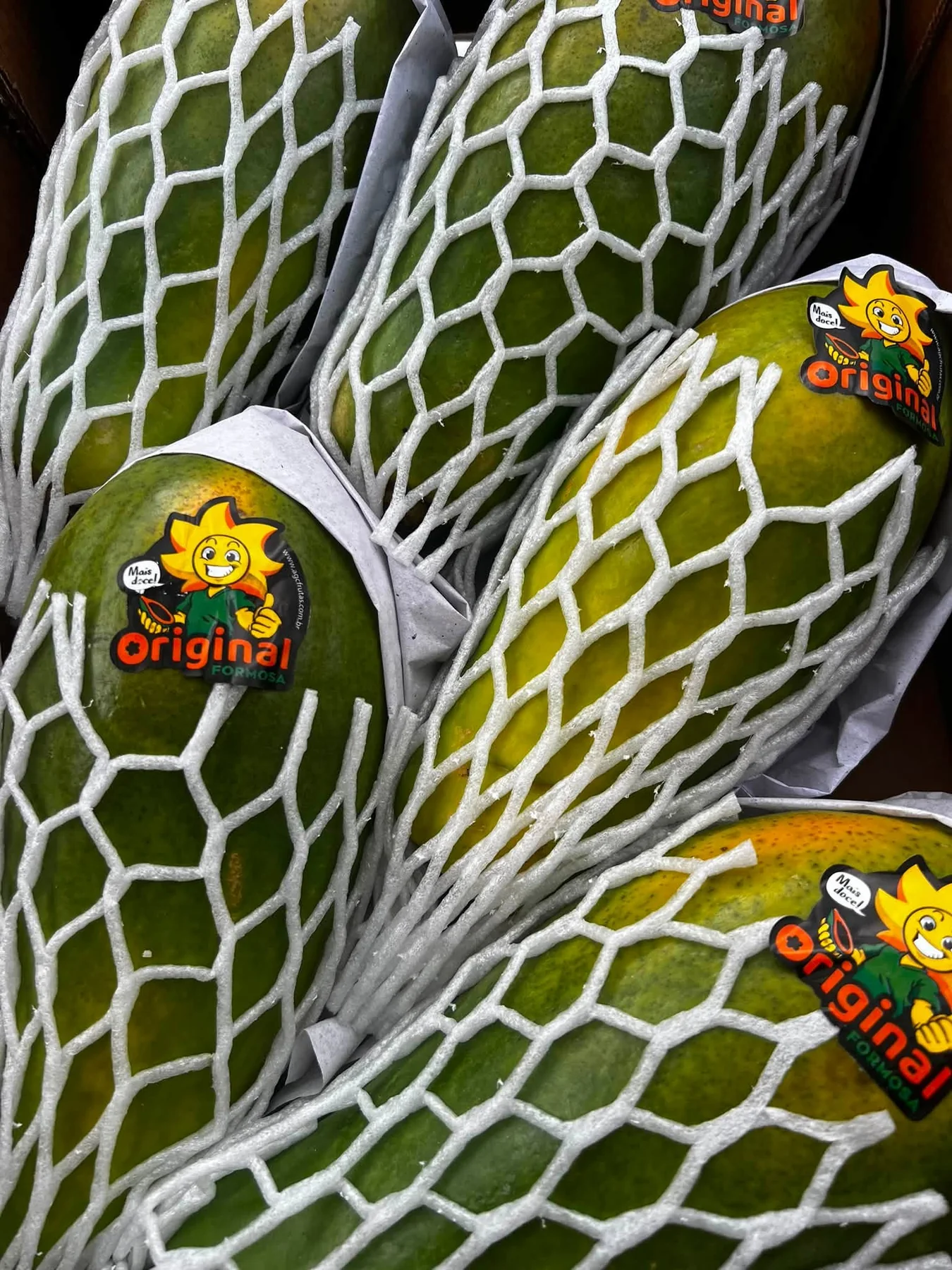 Fresh green and ripening yellow mangoes in protective sleeves