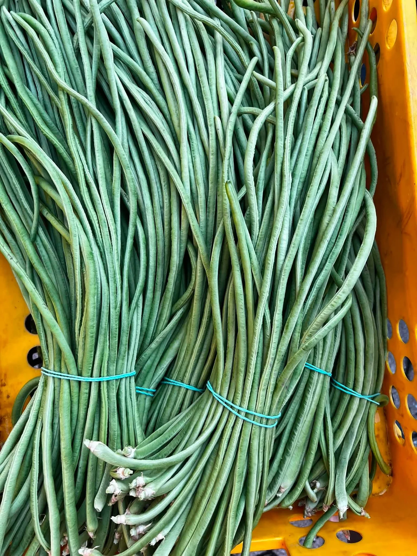 Bundles of fresh green yardlong beans in a crate