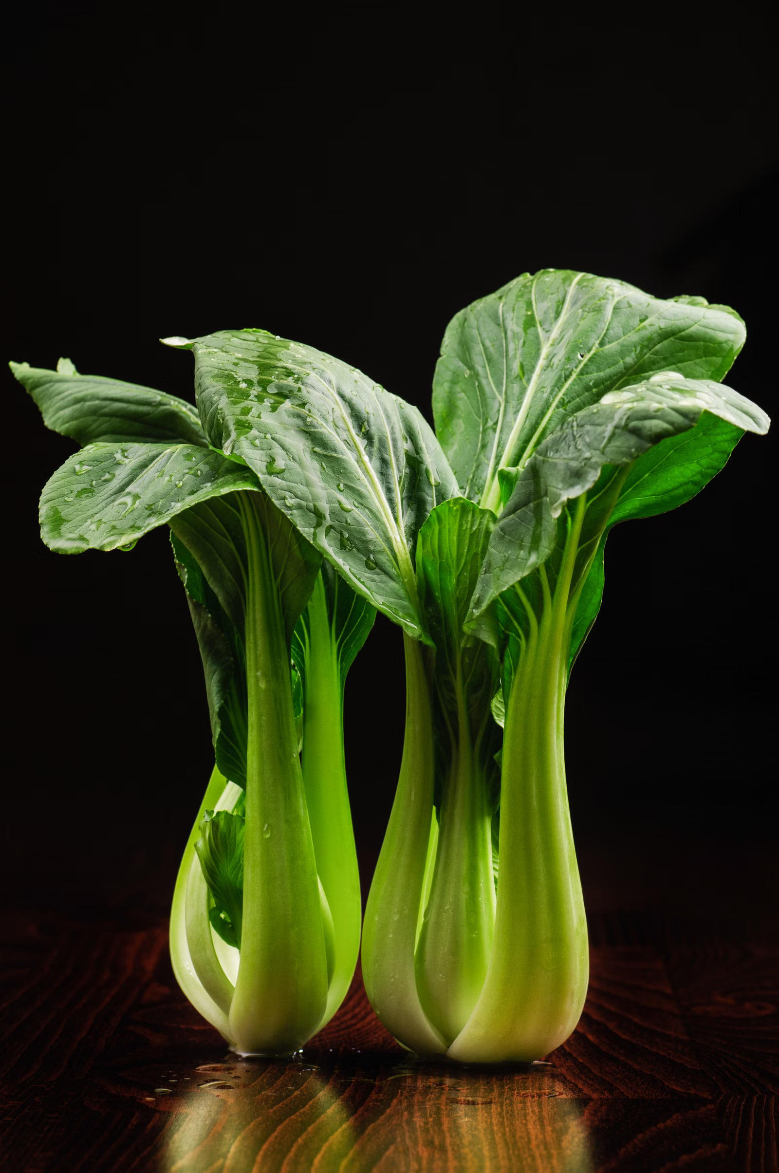Zwei frische Pak-Choi-Köpfe auf dunklem Untergrund
